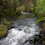 Irrigation and Water Assessment