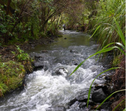 Irrigation and Water Assessment